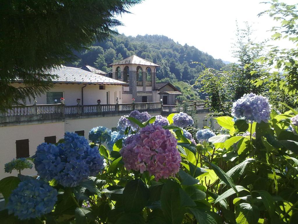 Hotel Villa Delle Ortensie Sant'Omobono Imagna Exteriör bild